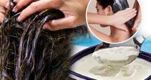 केसांच्या कोंड्यापासून मुक्ती आणि चमकदार केसांसाठी दही लावा