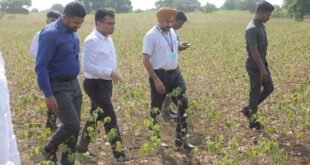 केंद्रीय पथकाकडून या तालुक्यांत होणार पाहणी