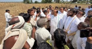 हर्षवर्धन सपकाळ यांची टीका, सरकारने दुष्काळ जाहीर केला पण मदतीचा पत्ता नाही, दसऱ्यापर्यंत शेतकऱ्यांच्या खात्यात १ लाख रुपये जमा करा